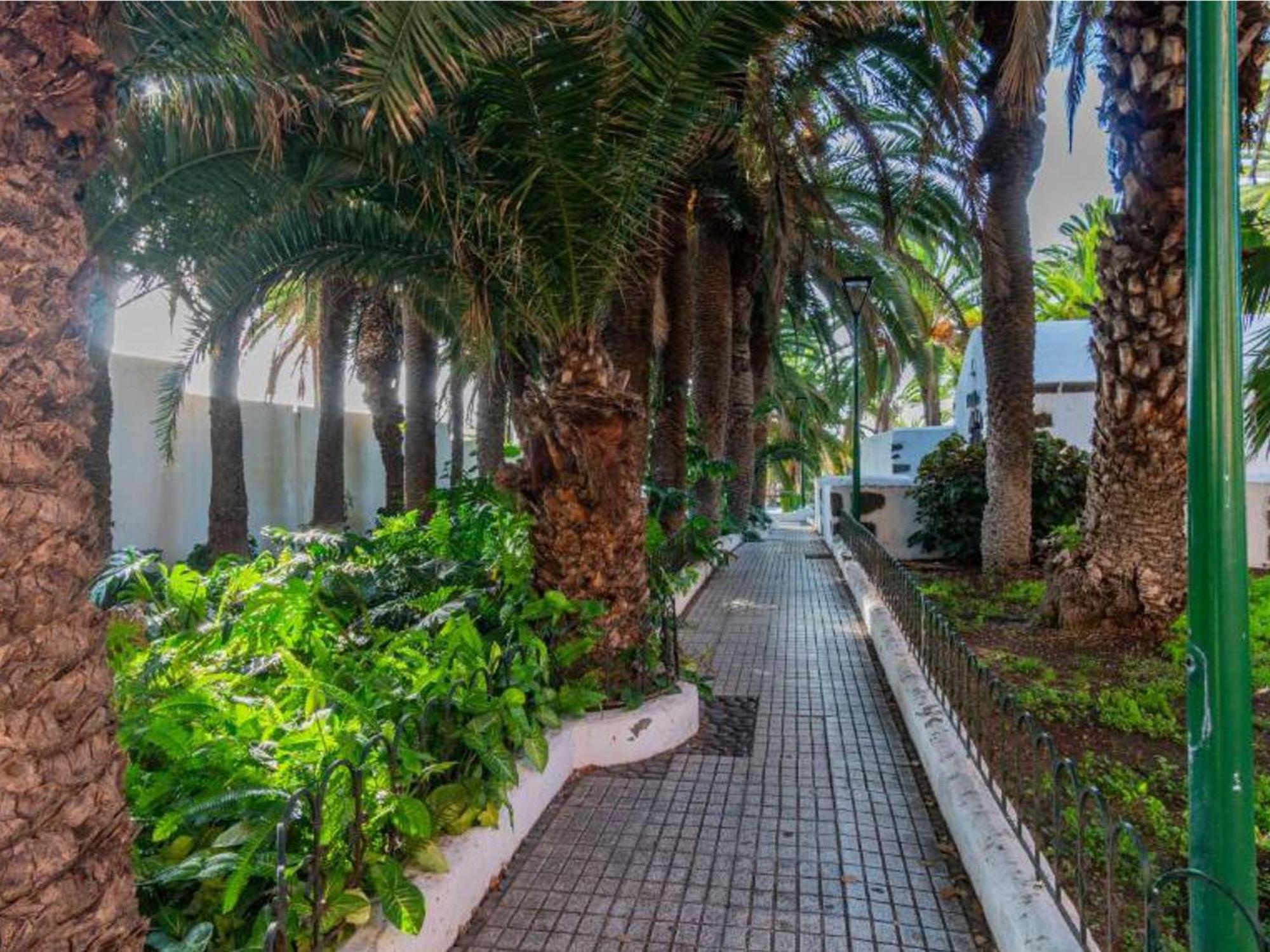 Live Puerto Valle Luz Puerto de la Cruz  Luaran gambar